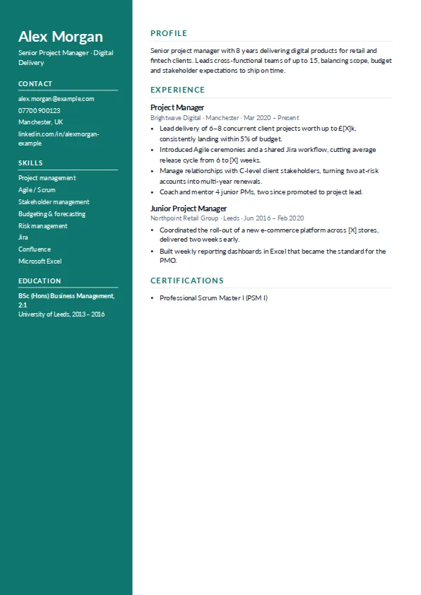 Executive CV template example